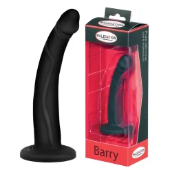 Dildo En Silicone Barry Noir - Malesation -Sex Toys Femme boutique 10297