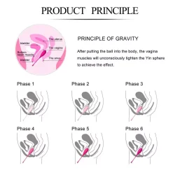 Boules De Geisha (6x) FemmeFit Pelvic Muscle Training - Feelztoys -Sex Toys Femme boutique 16748
