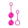B Swish Boules De Gaisha Bfit Classic Rose - Bswish