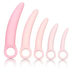 Fun Factory Dilatateurs En Silicone Inspire (5 Pièces) - Calexotics
