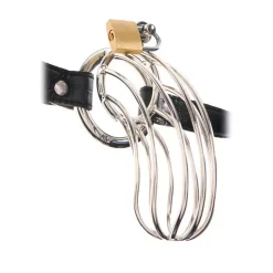 Cage De Chasteté The Prisoner - Fetish Fantasy