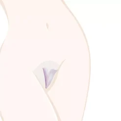 Bikini Maillot Brésilien - Pochoir De Rasage -Sex Toys Femme boutique 4015