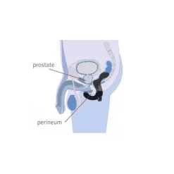 Vibromasseur Prostatique Fun Factory Duke Noir -Sex Toys Femme boutique 4986